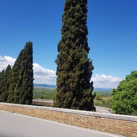 Palazzetto Del Pittore San Quirico dʼOrcia Buitenkant foto