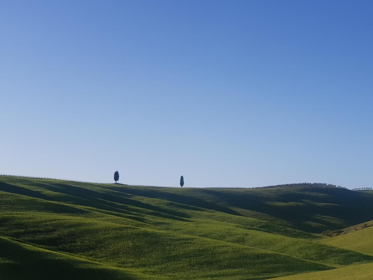 Palazzetto Del Pittore San Quirico dʼOrcia Buitenkant foto
