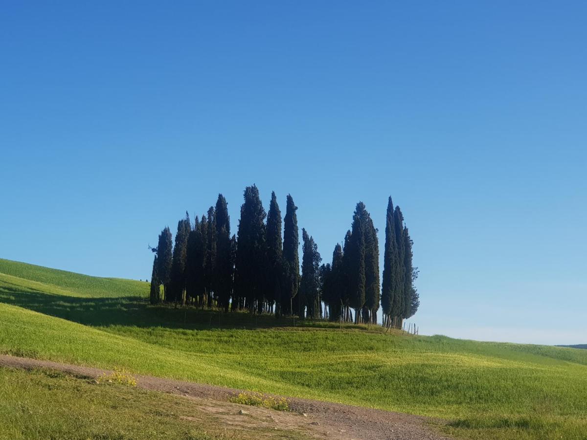 Palazzetto Del Pittore San Quirico dʼOrcia Buitenkant foto