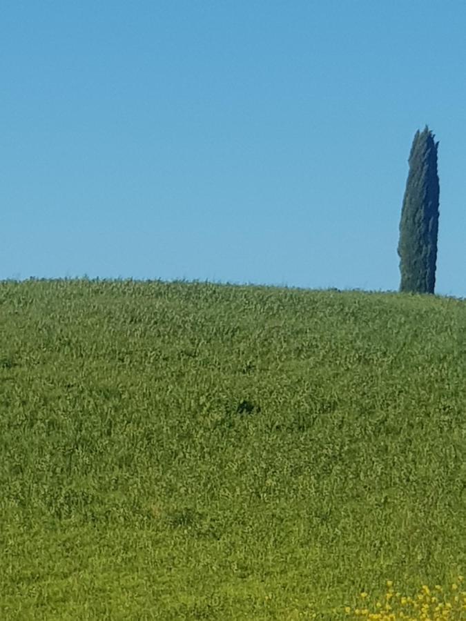 Palazzetto Del Pittore San Quirico dʼOrcia Buitenkant foto
