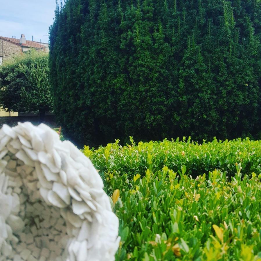 Palazzetto Del Pittore San Quirico dʼOrcia Buitenkant foto