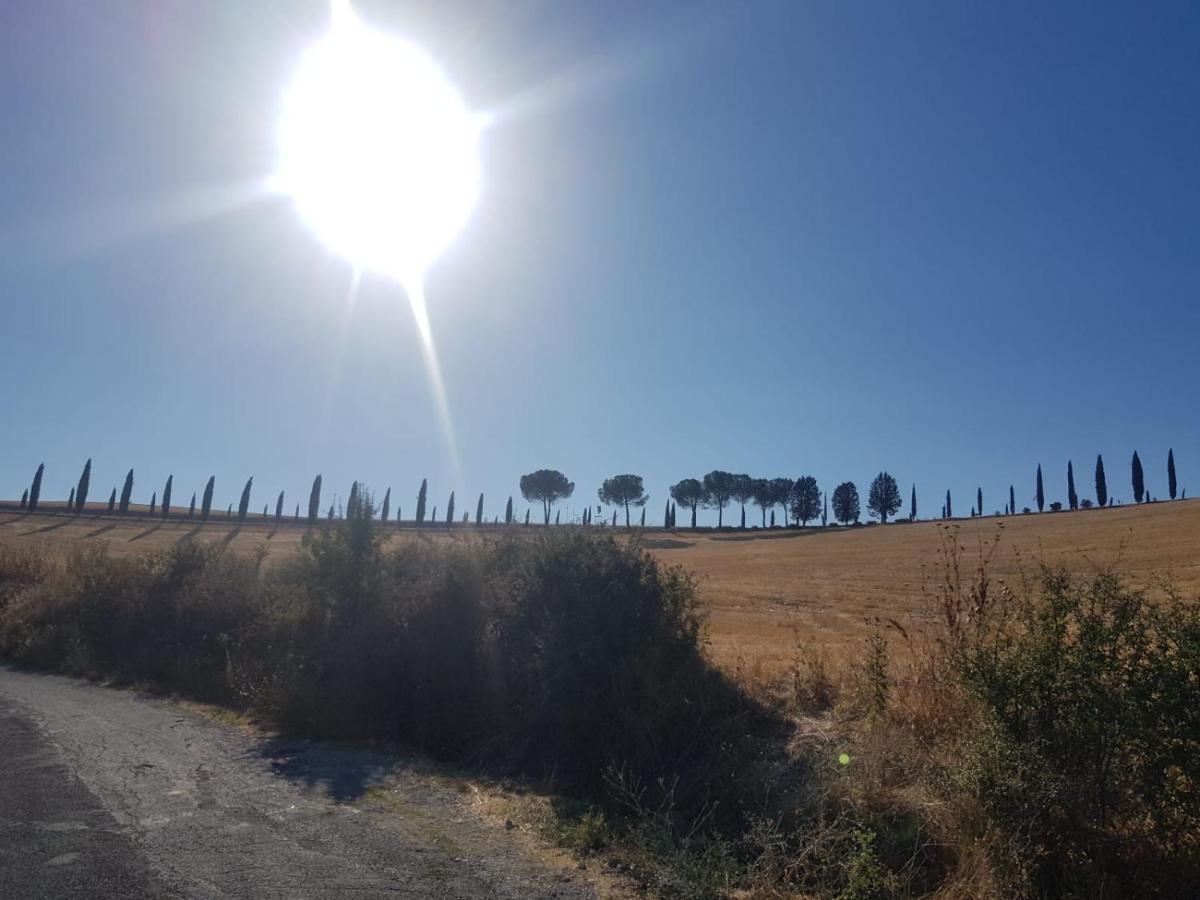 Palazzetto Del Pittore San Quirico dʼOrcia Buitenkant foto