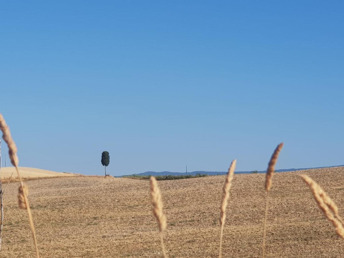 Palazzetto Del Pittore San Quirico dʼOrcia Buitenkant foto