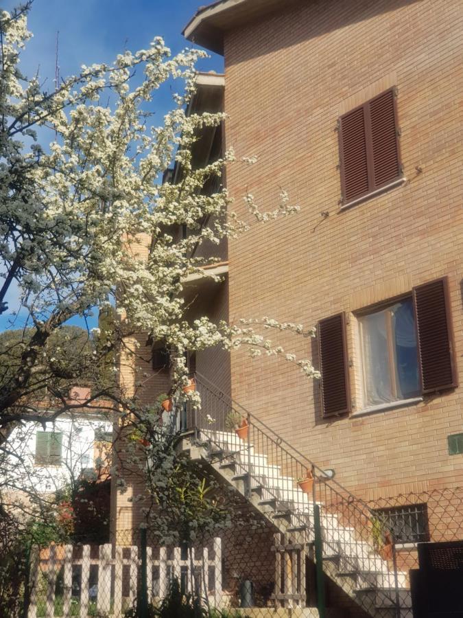 Palazzetto Del Pittore San Quirico dʼOrcia Buitenkant foto