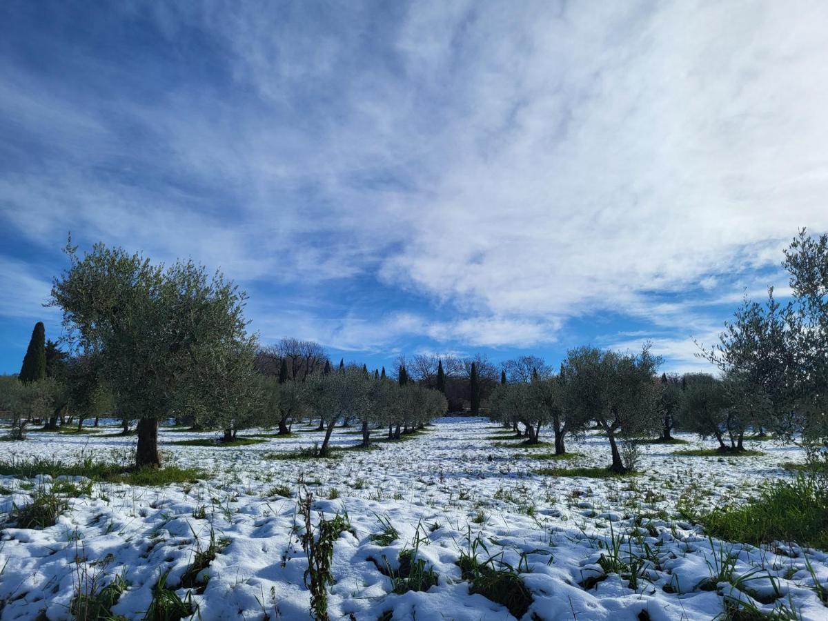 Palazzetto Del Pittore San Quirico dʼOrcia Buitenkant foto