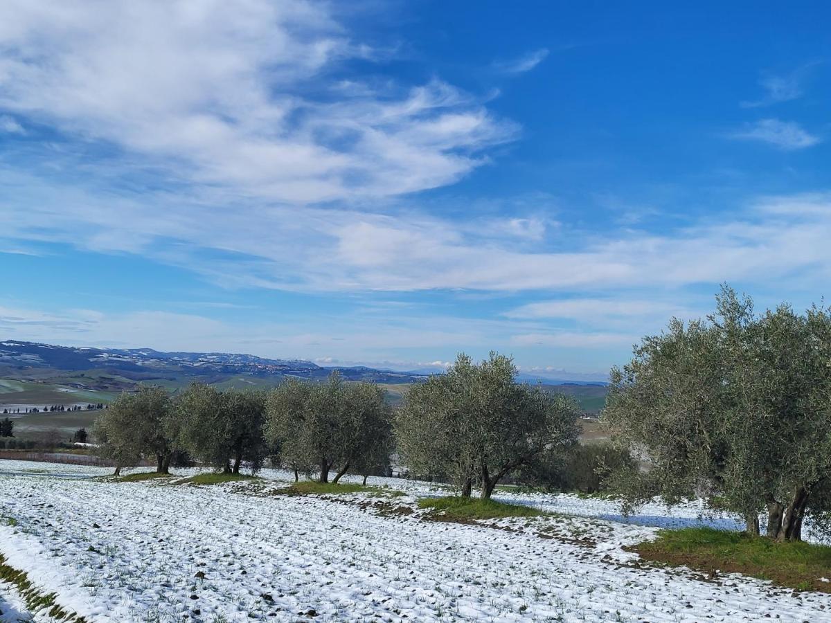 Palazzetto Del Pittore San Quirico dʼOrcia Buitenkant foto