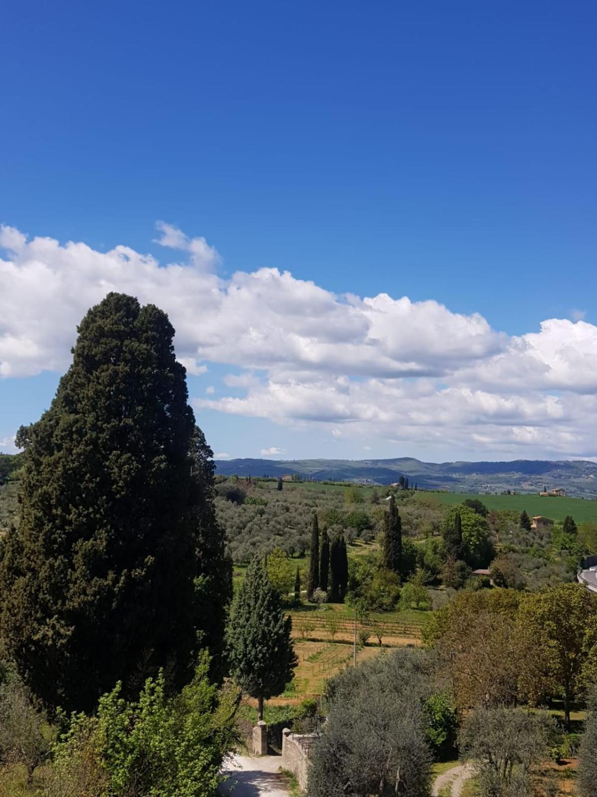 Palazzetto Del Pittore San Quirico dʼOrcia Buitenkant foto