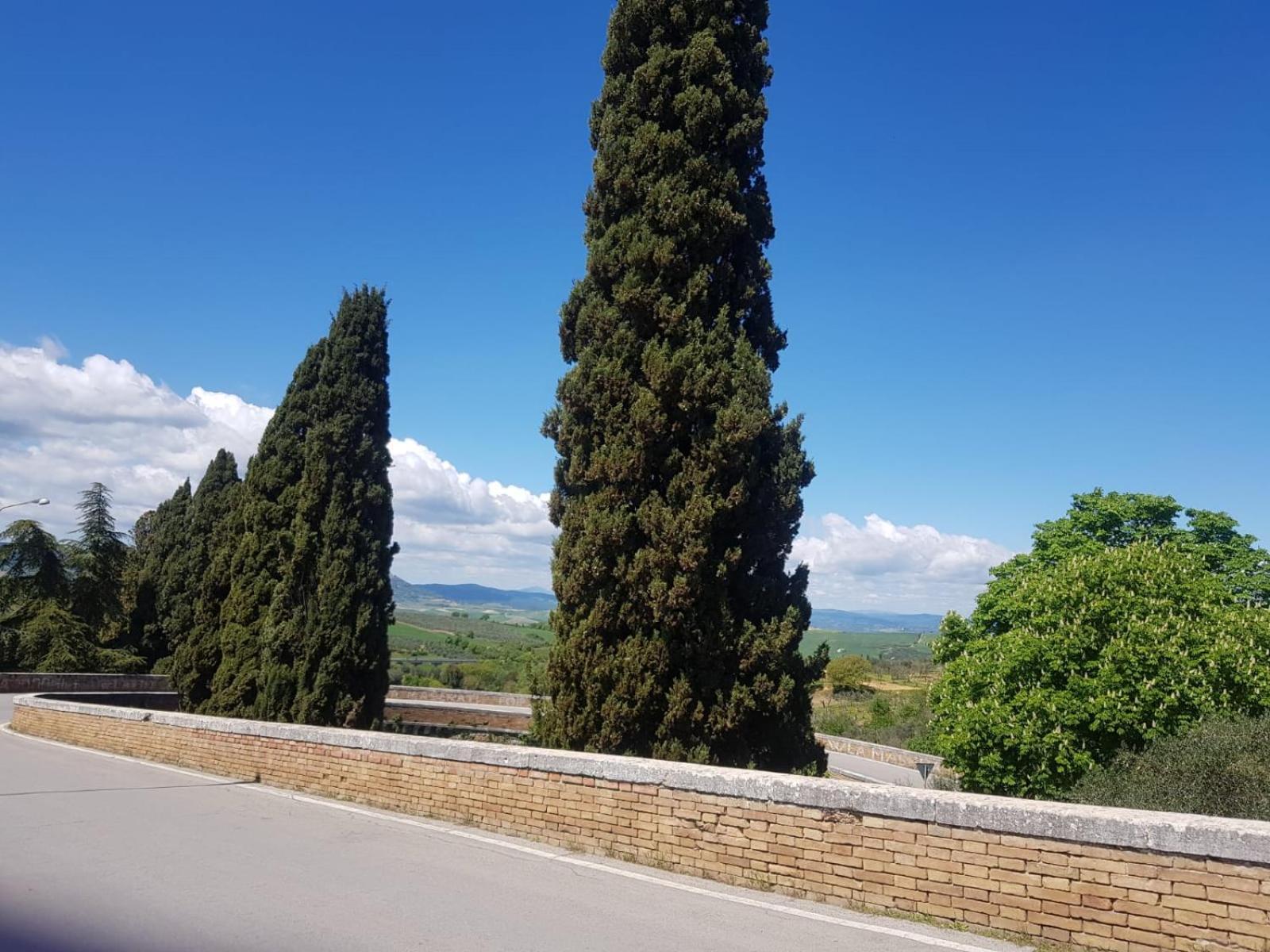 Palazzetto Del Pittore San Quirico dʼOrcia Buitenkant foto